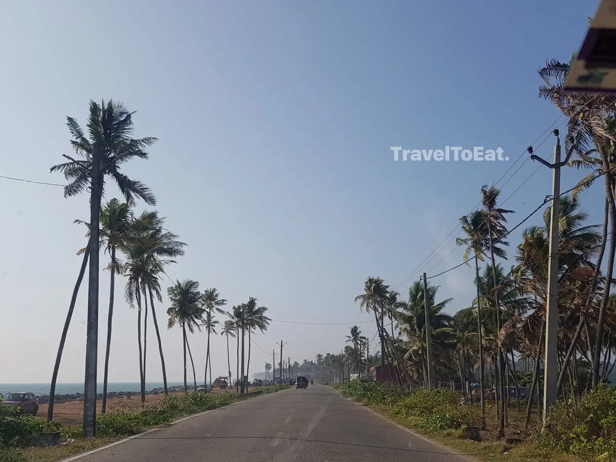 Kochi to Varkala and top spots in between! - Image 2