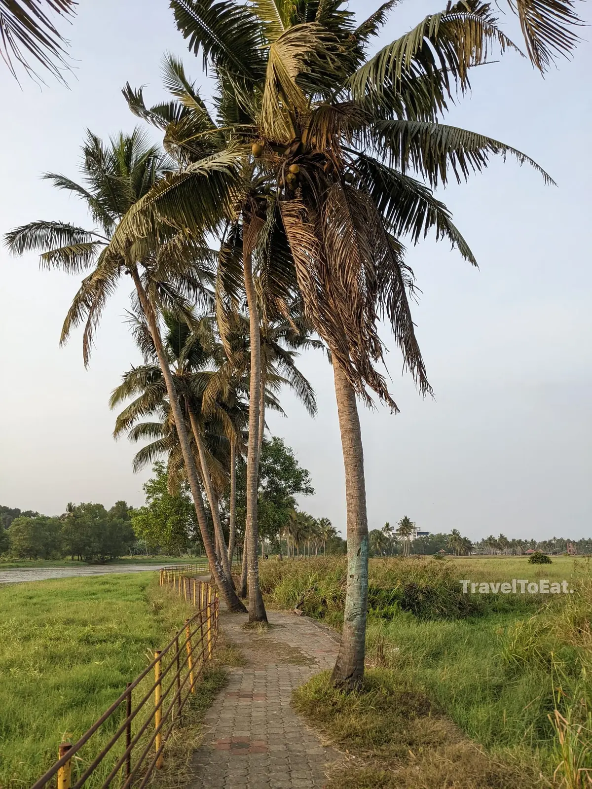 #DayTripsFromKochi: Part 1 Perumbavoor - Image 2