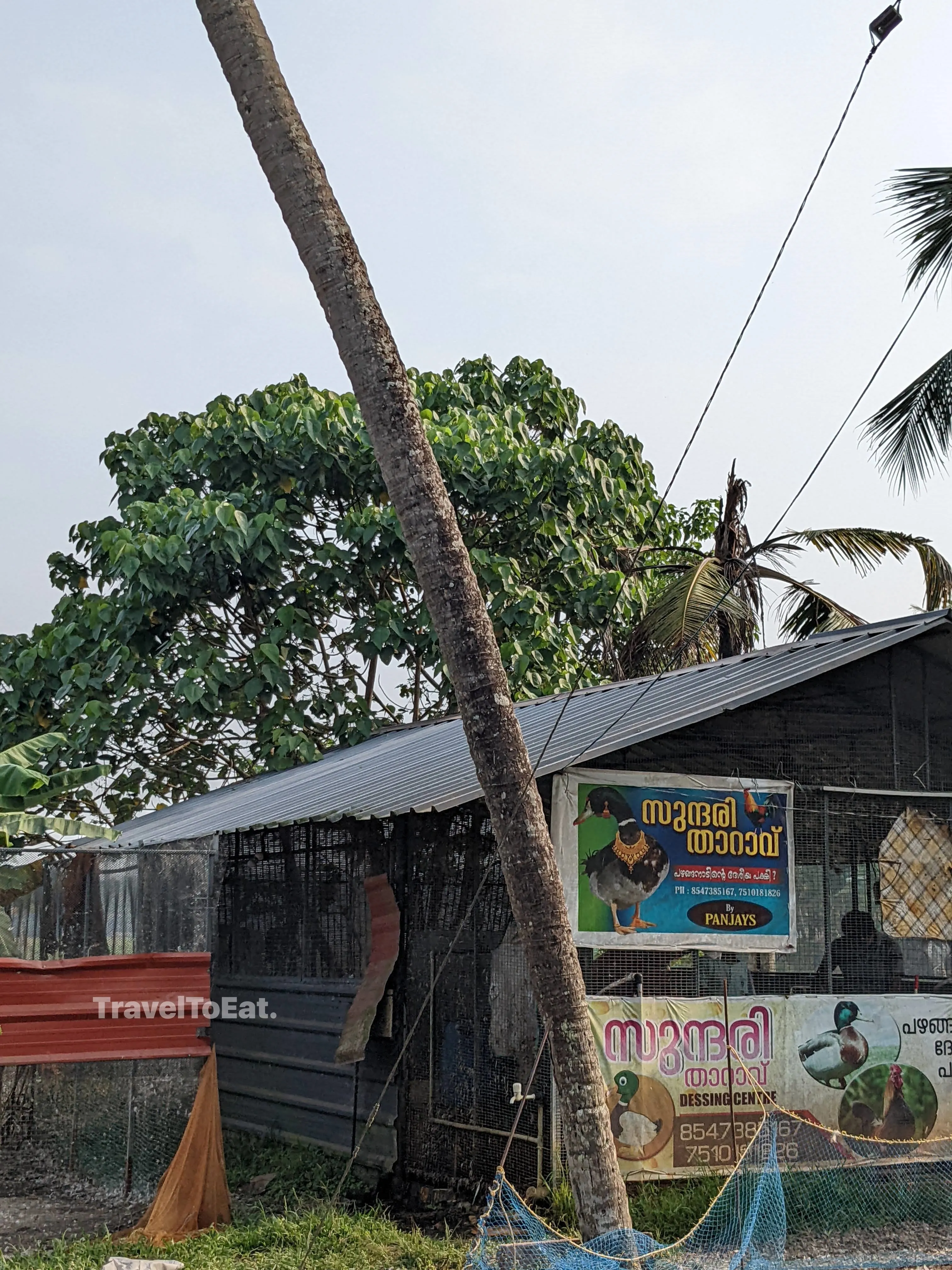 #DayTripsFromKochi: Part 1 Perumbavoor - Image 1