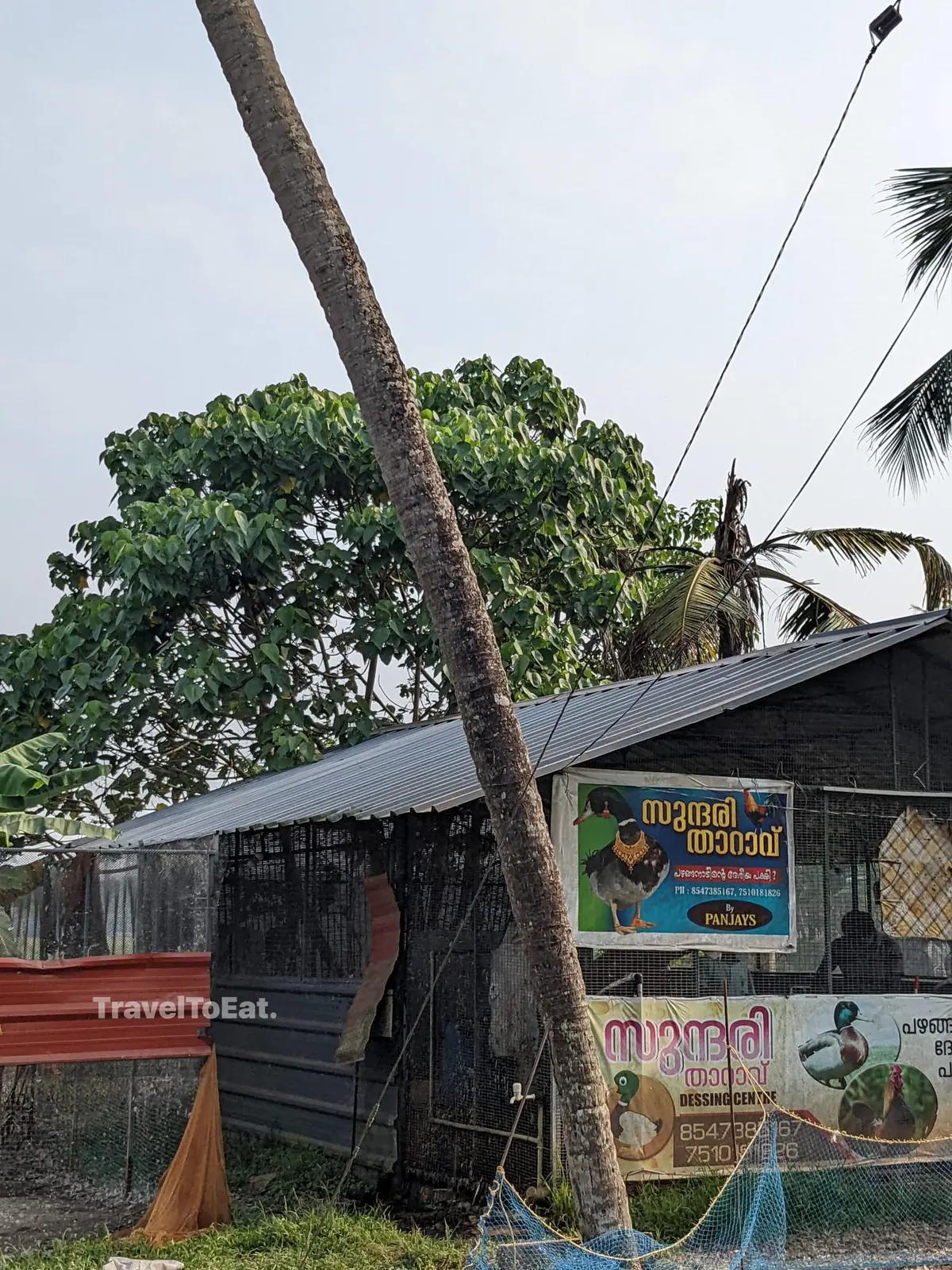 #DayTripsFromKochi: Part 1 Perumbavoor - Image 1