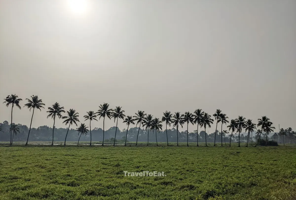#DayTripsFromKochi: Part 1 Perumbavoor - Image 1