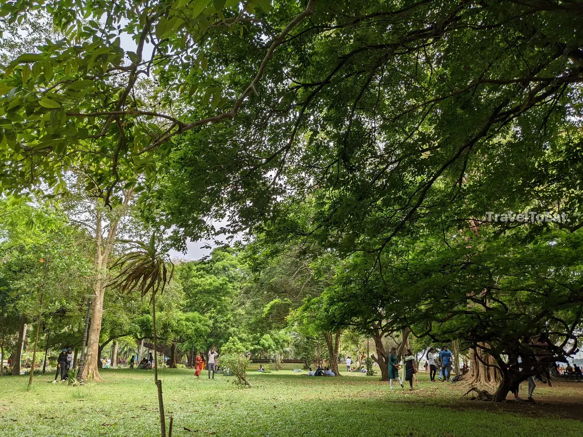 Kochi Regional IFFK - Films and Food explored - Image 1