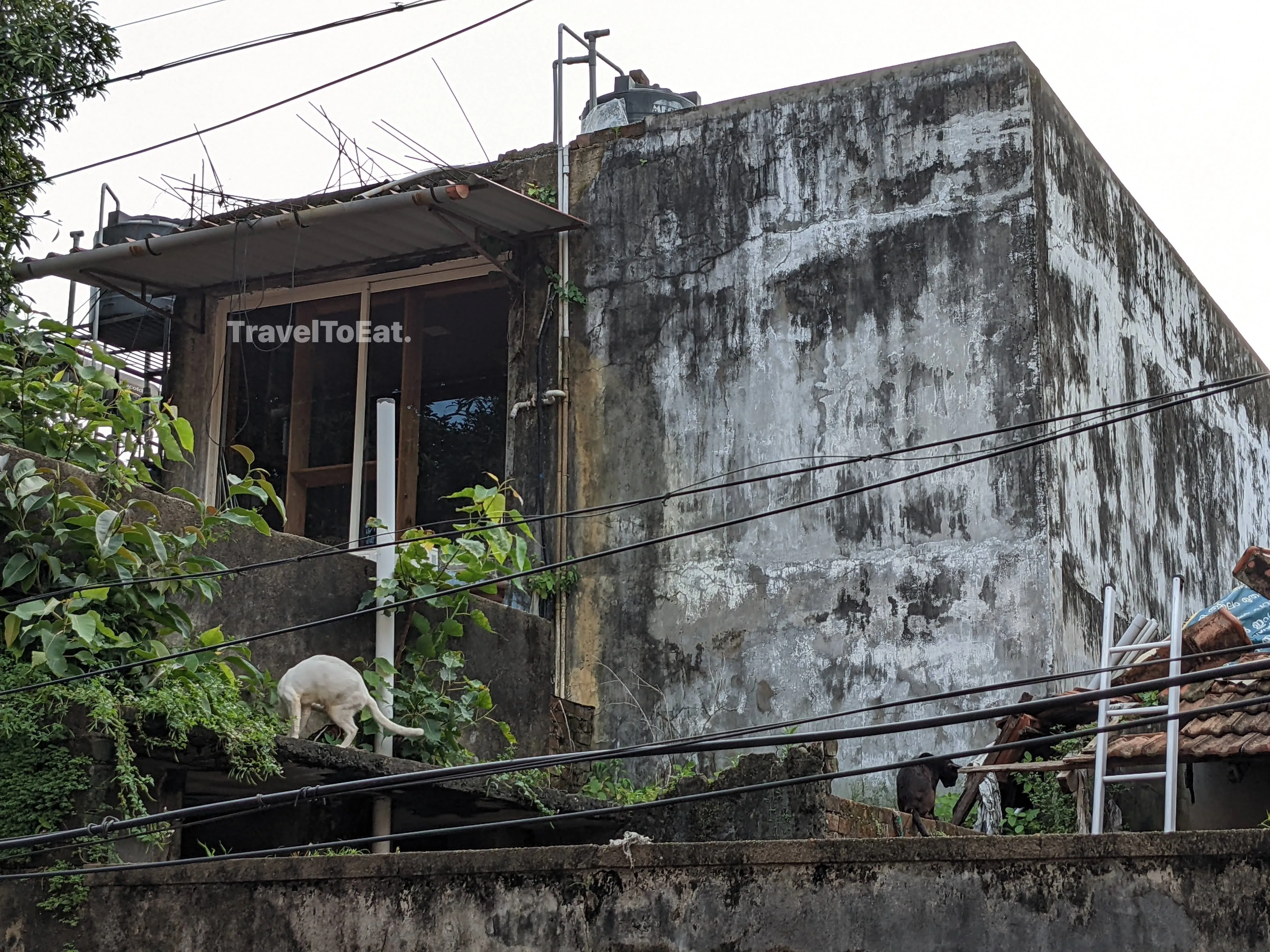 #DayTripsFromKochi : Part 2, Fort Kochi - Image 4