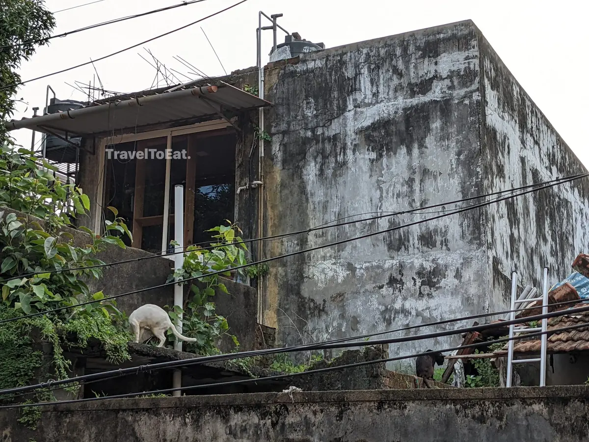 #DayTripsFromKochi : Part 2, Fort Kochi - Image 4