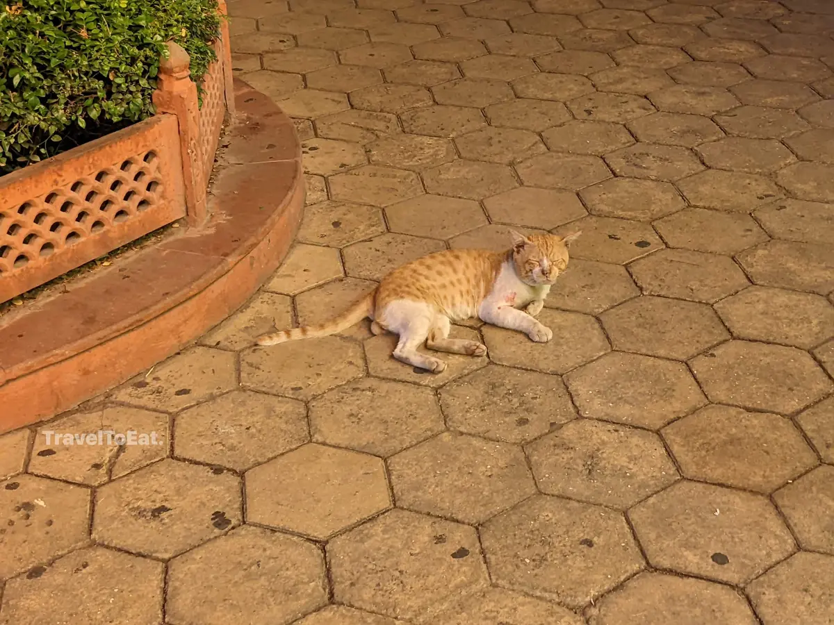 A day in Delhi! What to do, where to eat? - Image 1