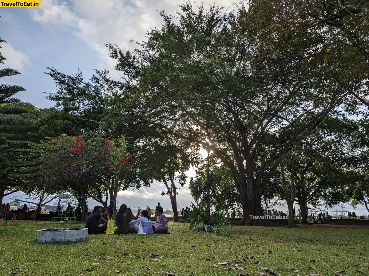 #DayTripsFromKochi Part 5: Our humble Subash Park - Image 1