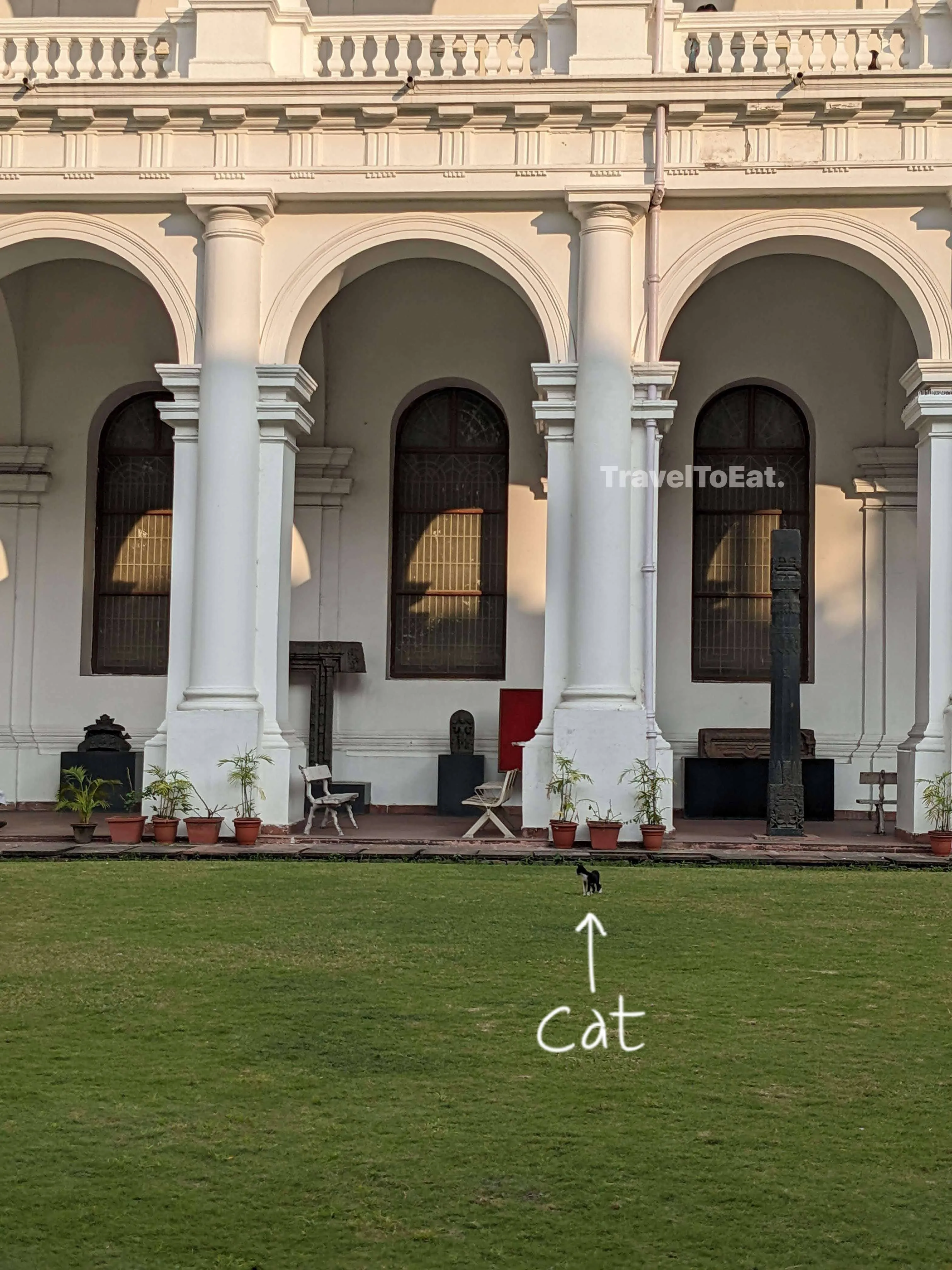 Kolkata: What to eat, Where to go, for 2 days. - Image 1
