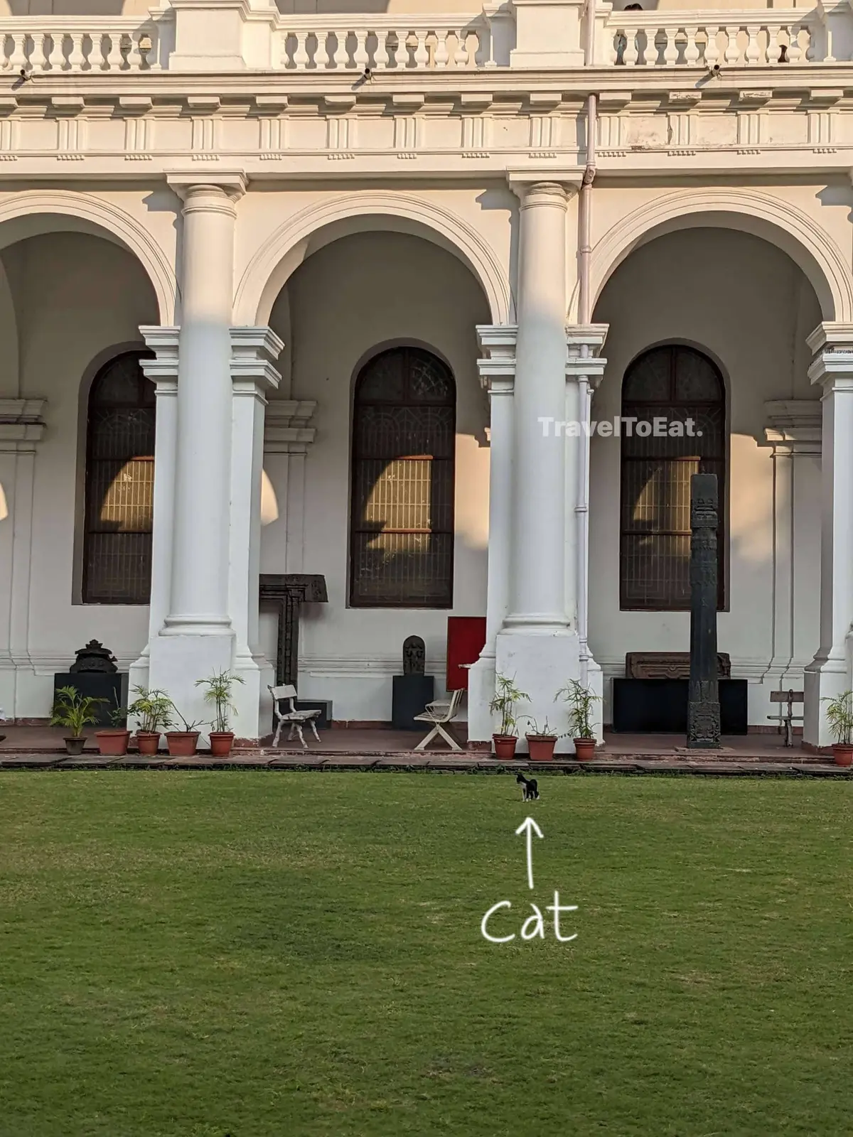 Kolkata: What to eat, Where to go, for 2 days. - Image 1