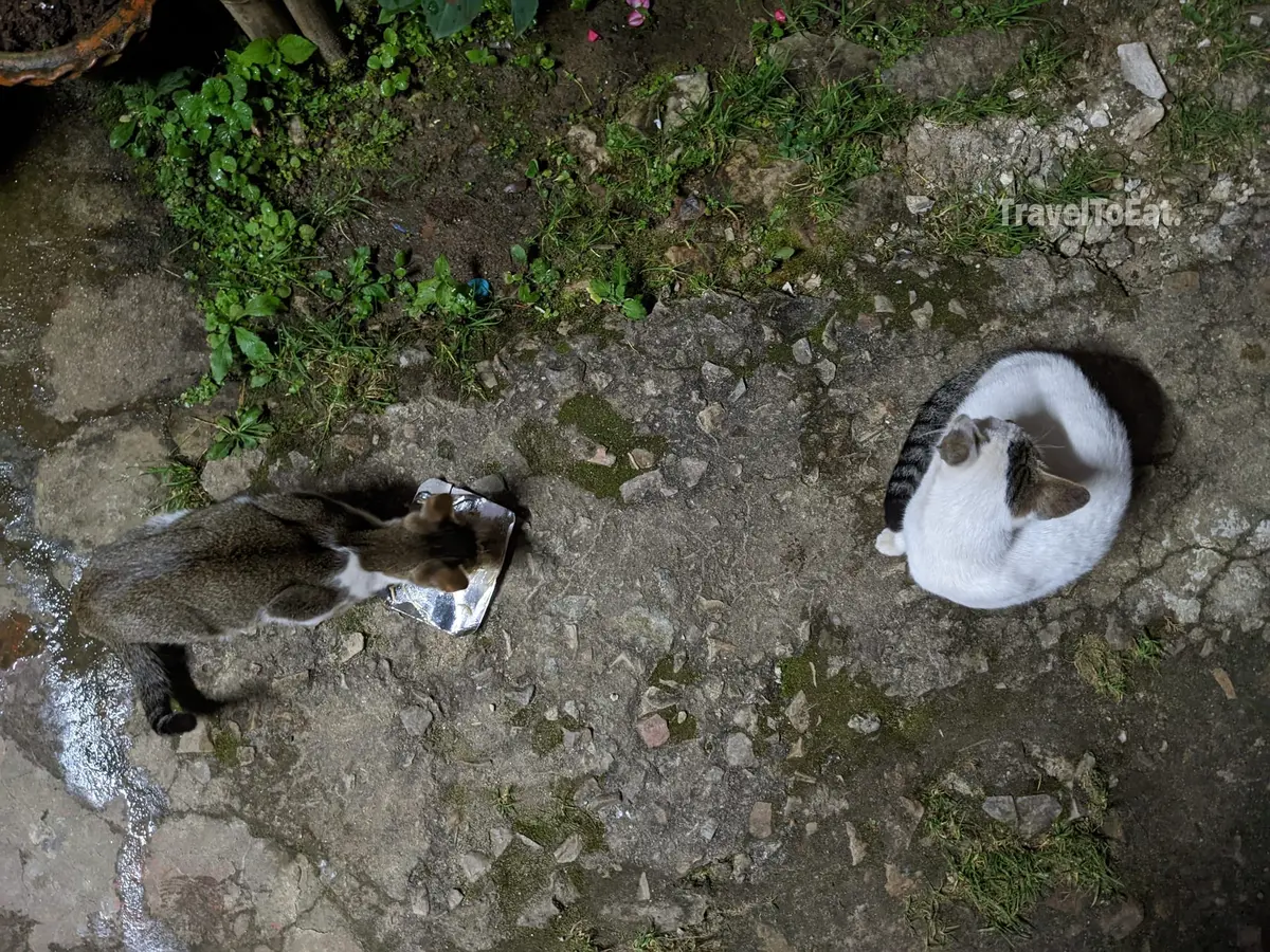 7 days in Meghalaya: Exploring Khasi hills - Image 3