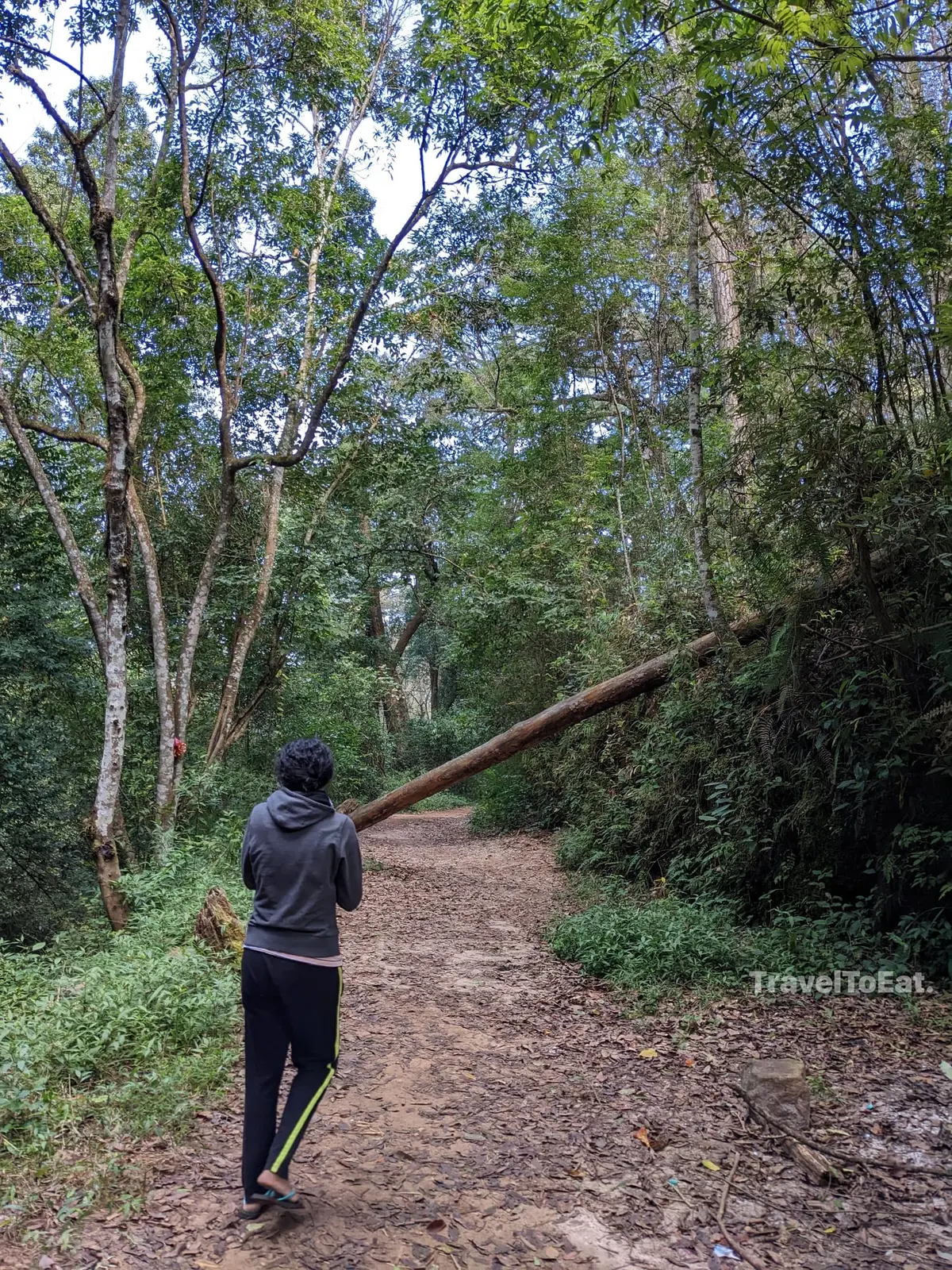 7 days in Meghalaya: Exploring Khasi hills - Image 2