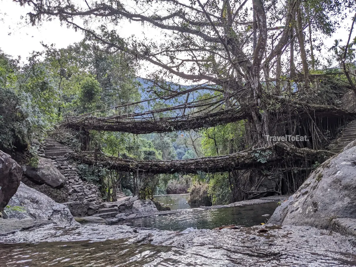 7 days in Meghalaya: Exploring Khasi hills - Image 3