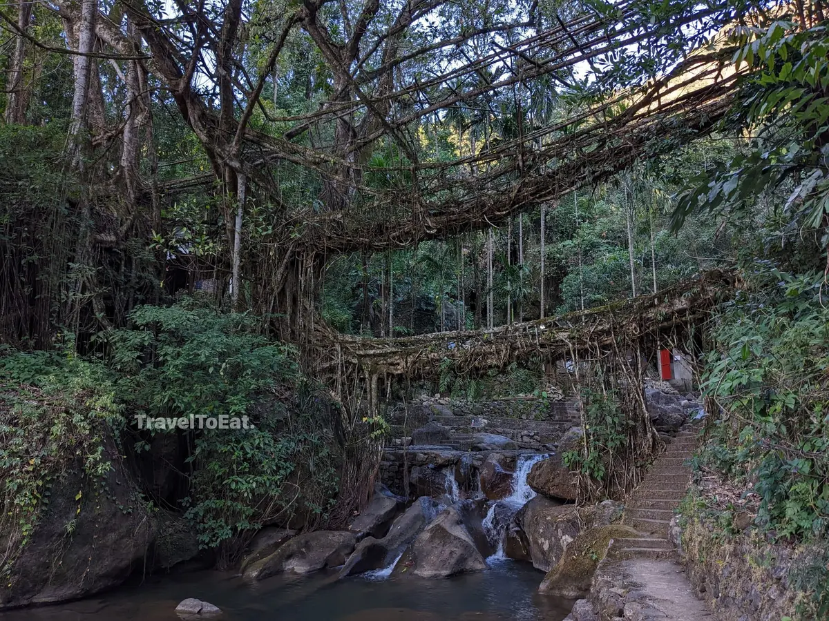 7 days in Meghalaya: Exploring Khasi hills - Image 1