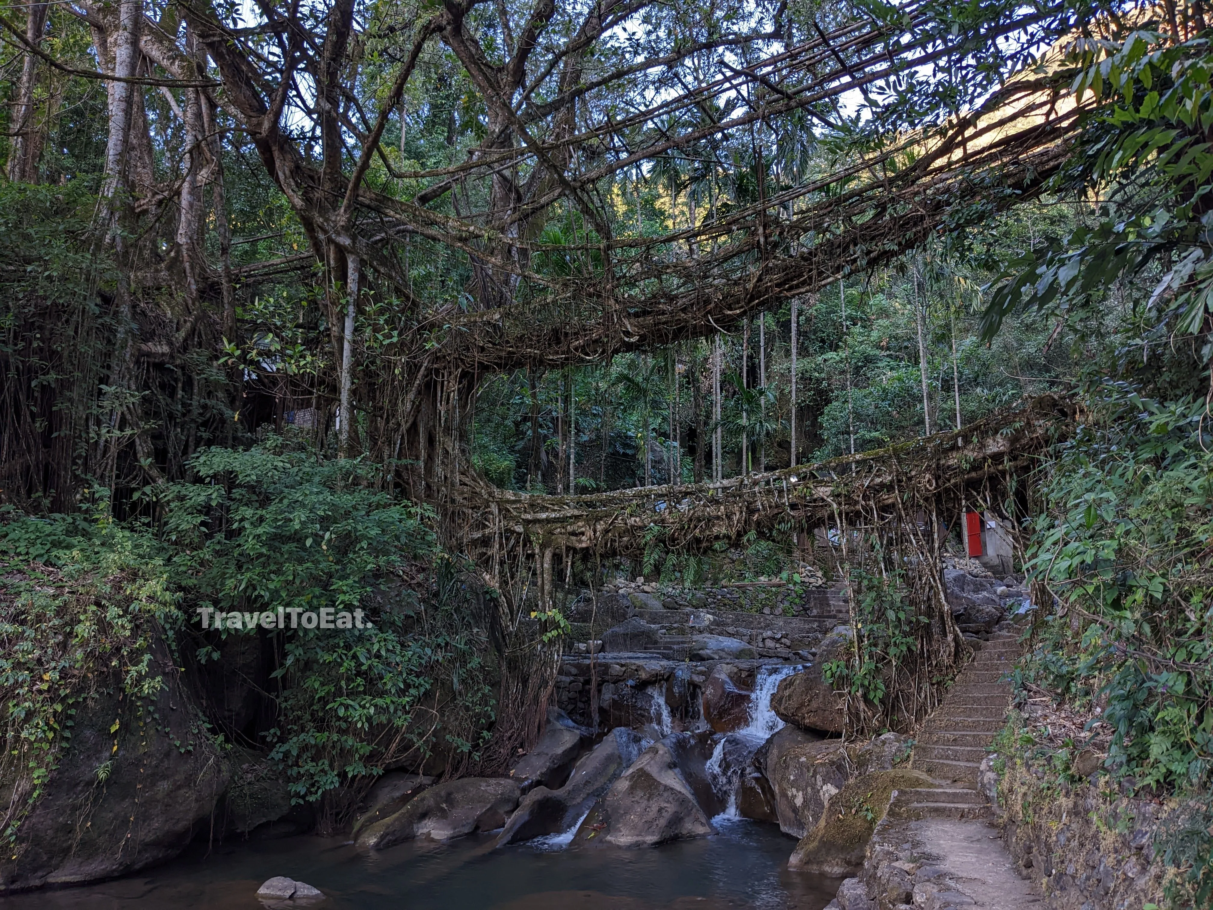 7 days in Meghalaya: Exploring Khasi hills - Image 1