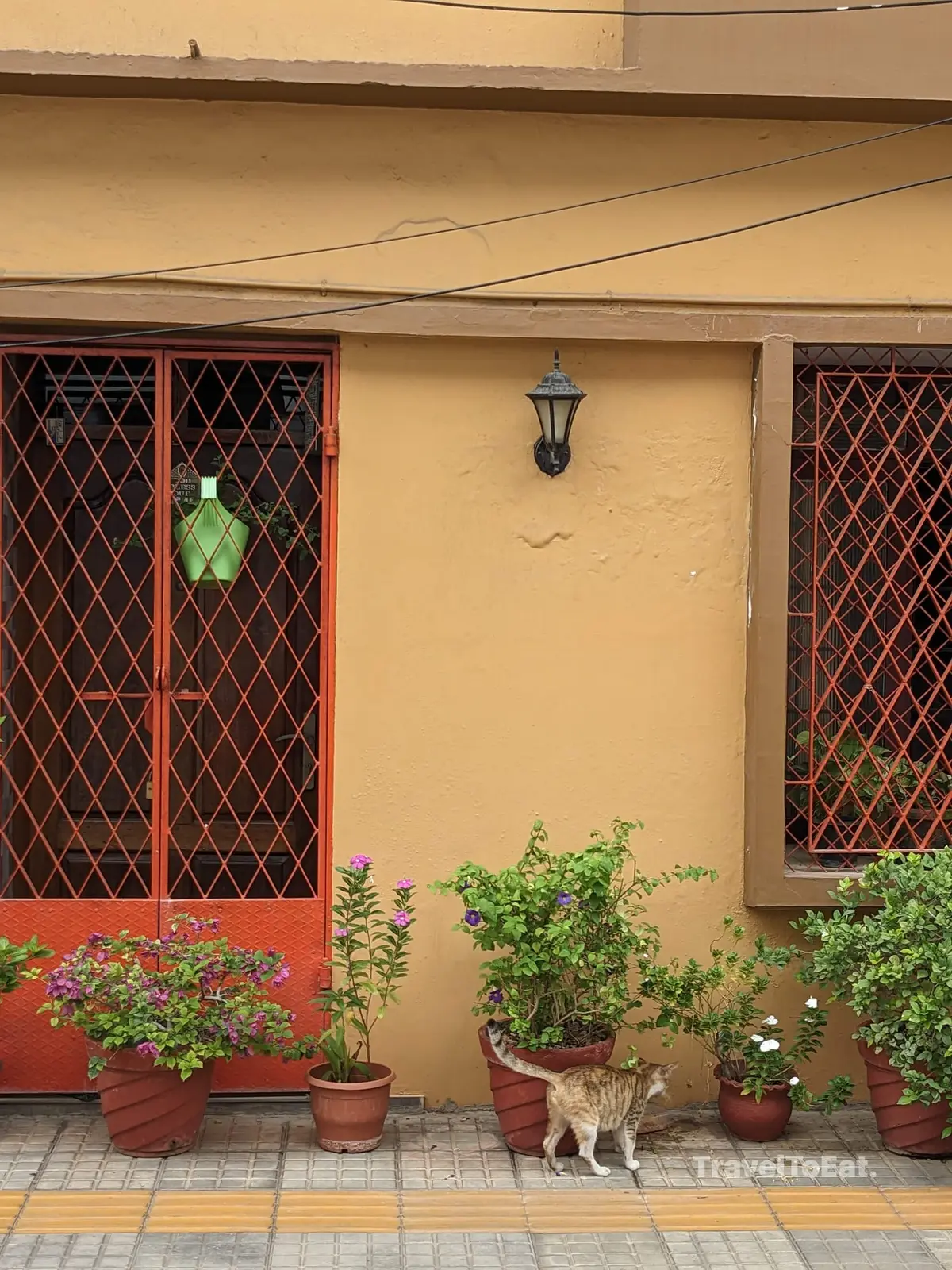 #DayTripsFromKochi : Part 2, Fort Kochi - Image 1
