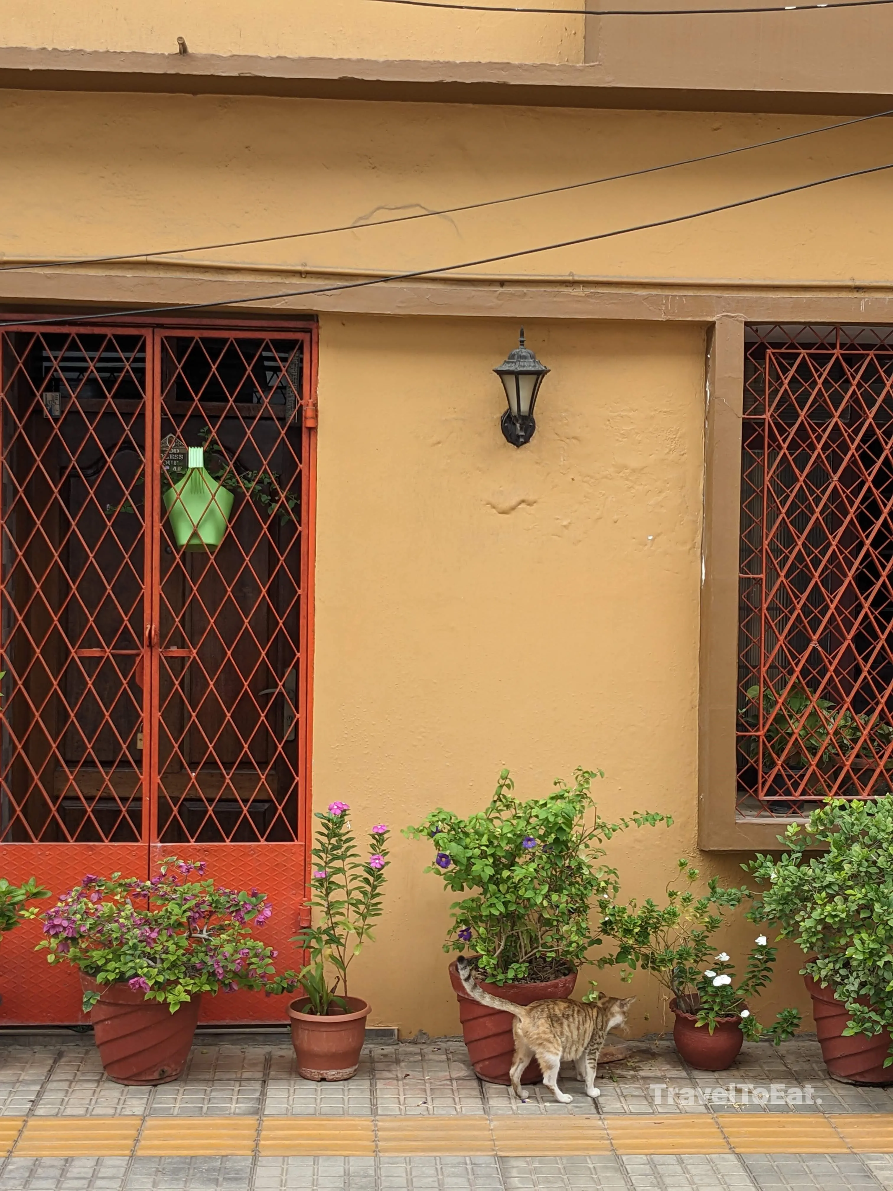 #DayTripsFromKochi : Part 2, Fort Kochi - Image 1