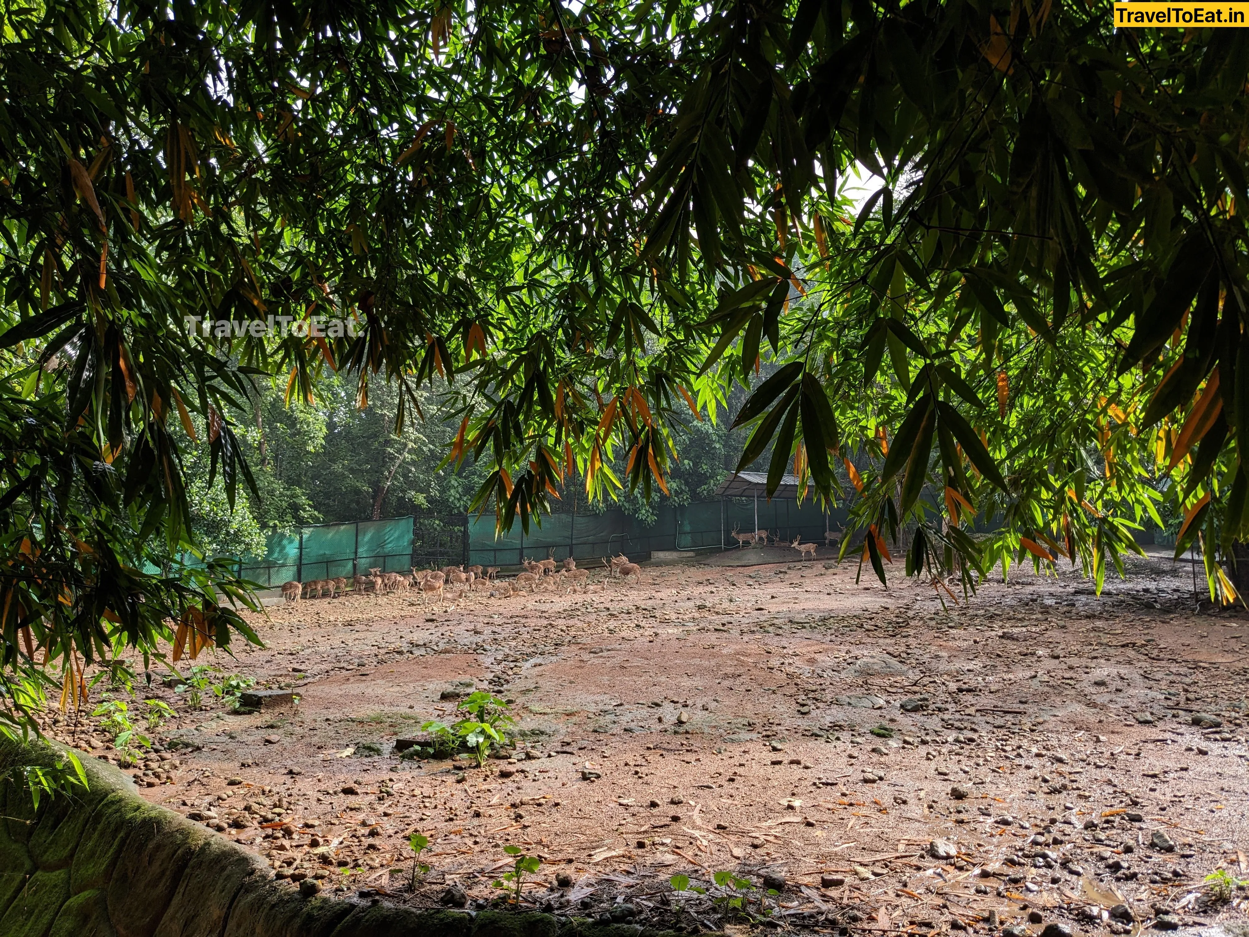 #DayTripsFromKochi: Part 3, Kodanadu - Paniyeli Poru - Image 2