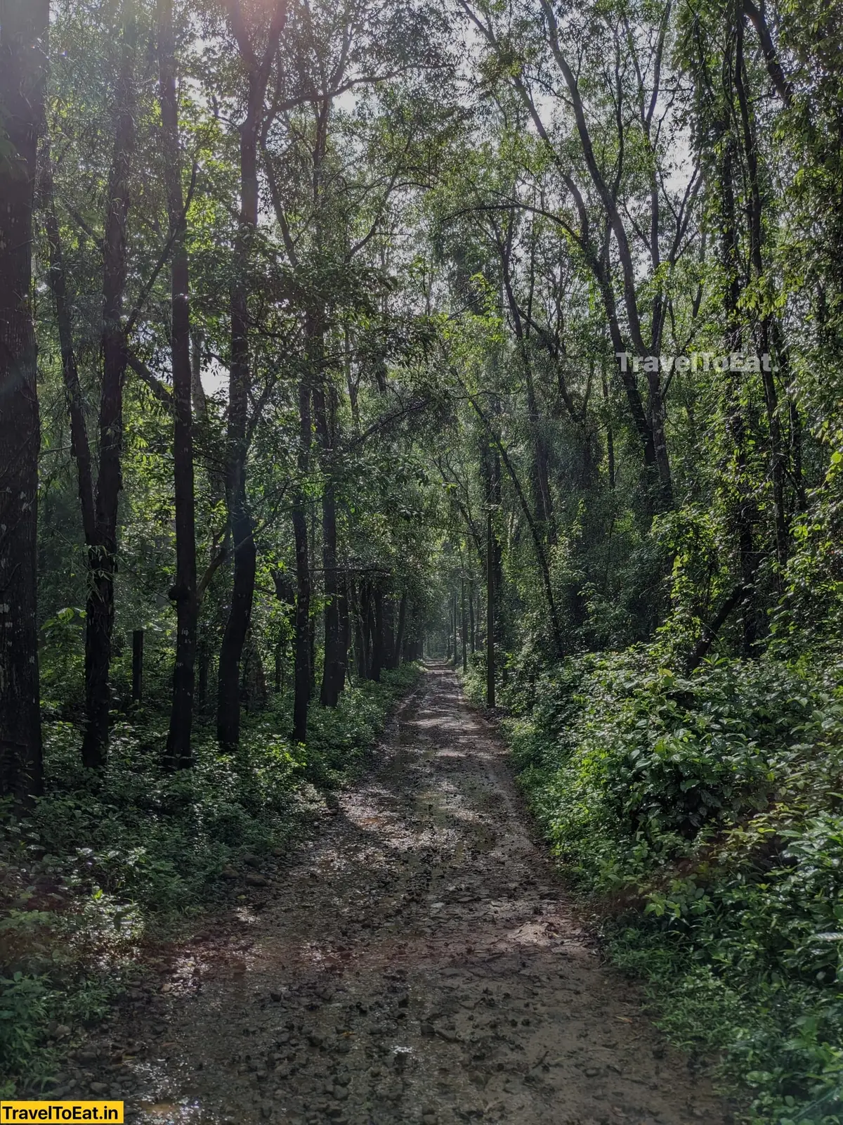 #DayTripsFromKochi: Part 3, Kodanadu - Paniyeli Poru - Image 1