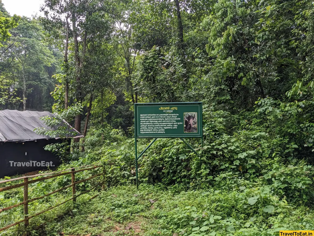 #DayTripsFromKochi: Part 3, Kodanadu - Paniyeli Poru - Image 1