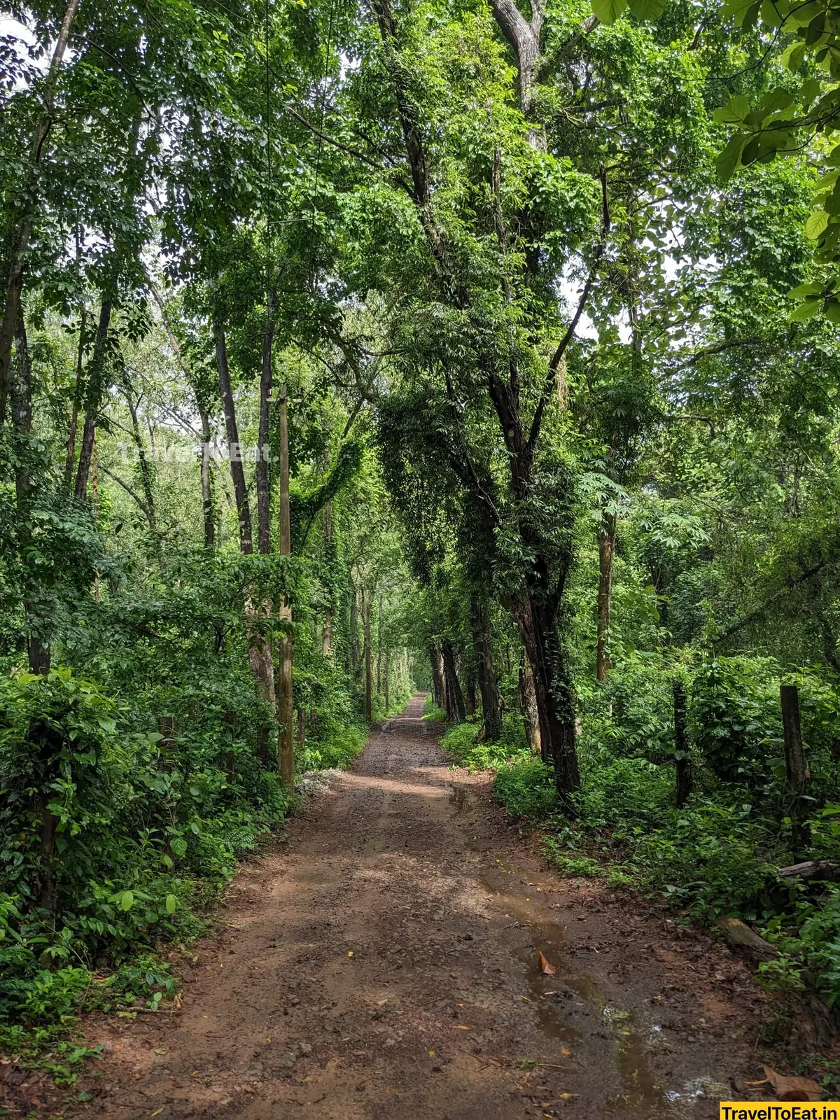 #DayTripsFromKochi: Part 3, Kodanadu - Paniyeli Poru - Image 2