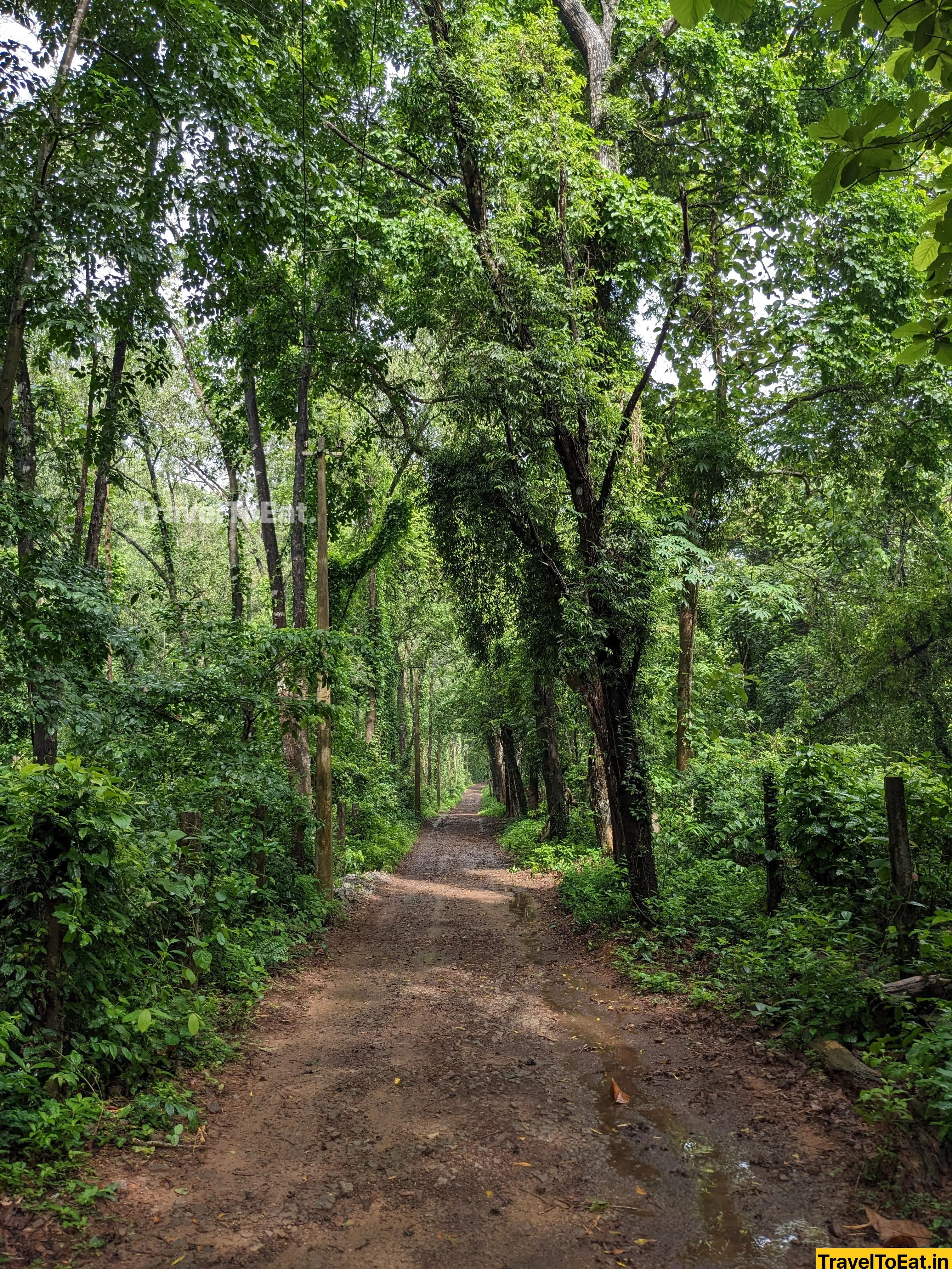 #DayTripsFromKochi: Part 3, Kodanadu - Paniyeli Poru - Image 2