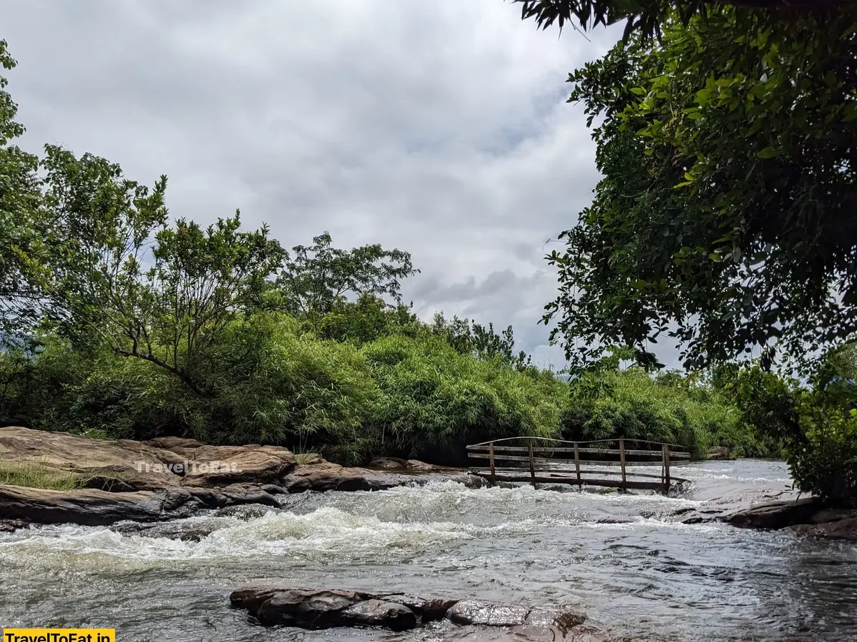 #DayTripsFromKochi: Part 3, Kodanadu - Paniyeli Poru - Image 1