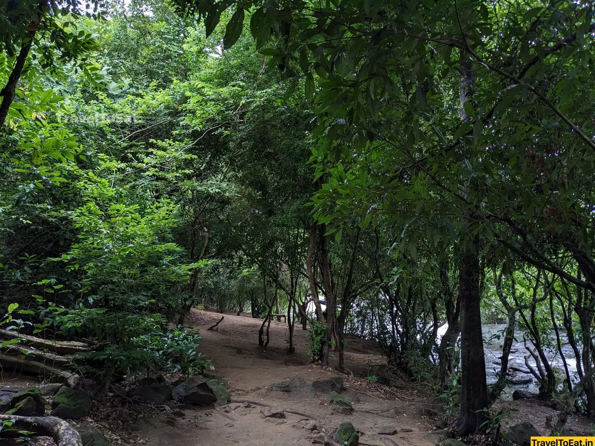 #DayTripsFromKochi: Part 3, Kodanadu - Paniyeli Poru - Image 3