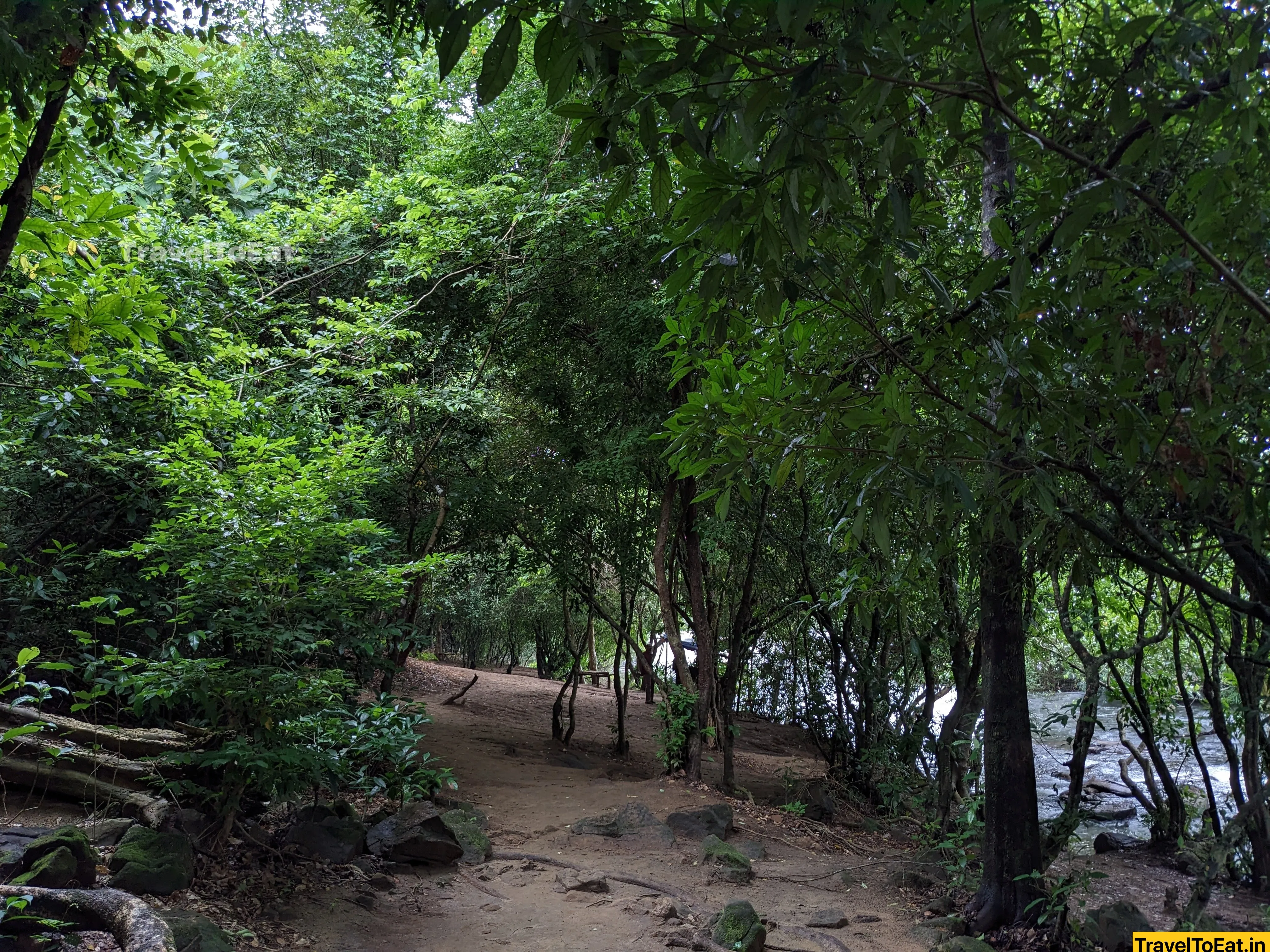 #DayTripsFromKochi: Part 3, Kodanadu - Paniyeli Poru - Image 3