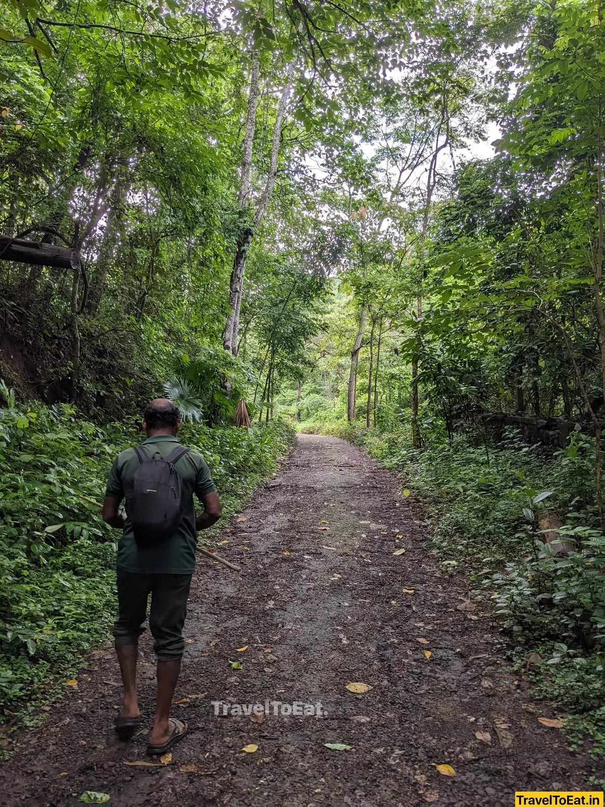 Thrissur Peechi dam trek: Moodal mala - Image 3