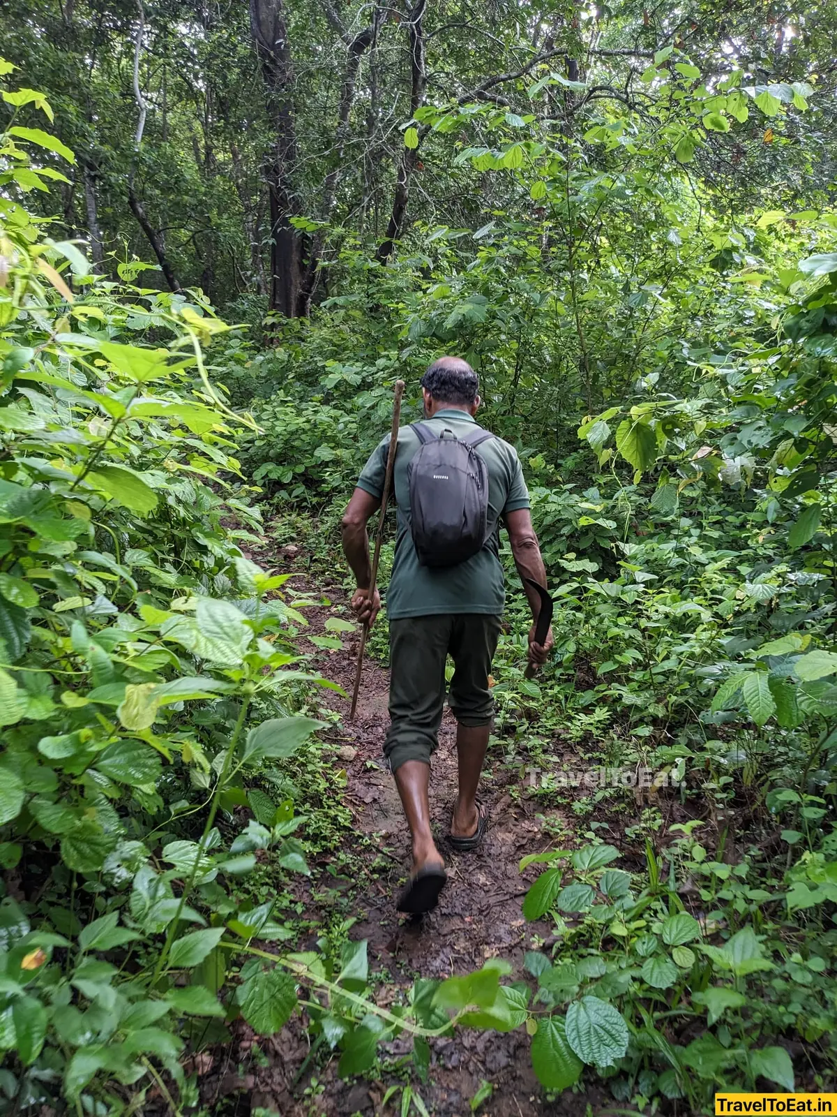 Thrissur Peechi dam trek: Moodal mala - Image 2