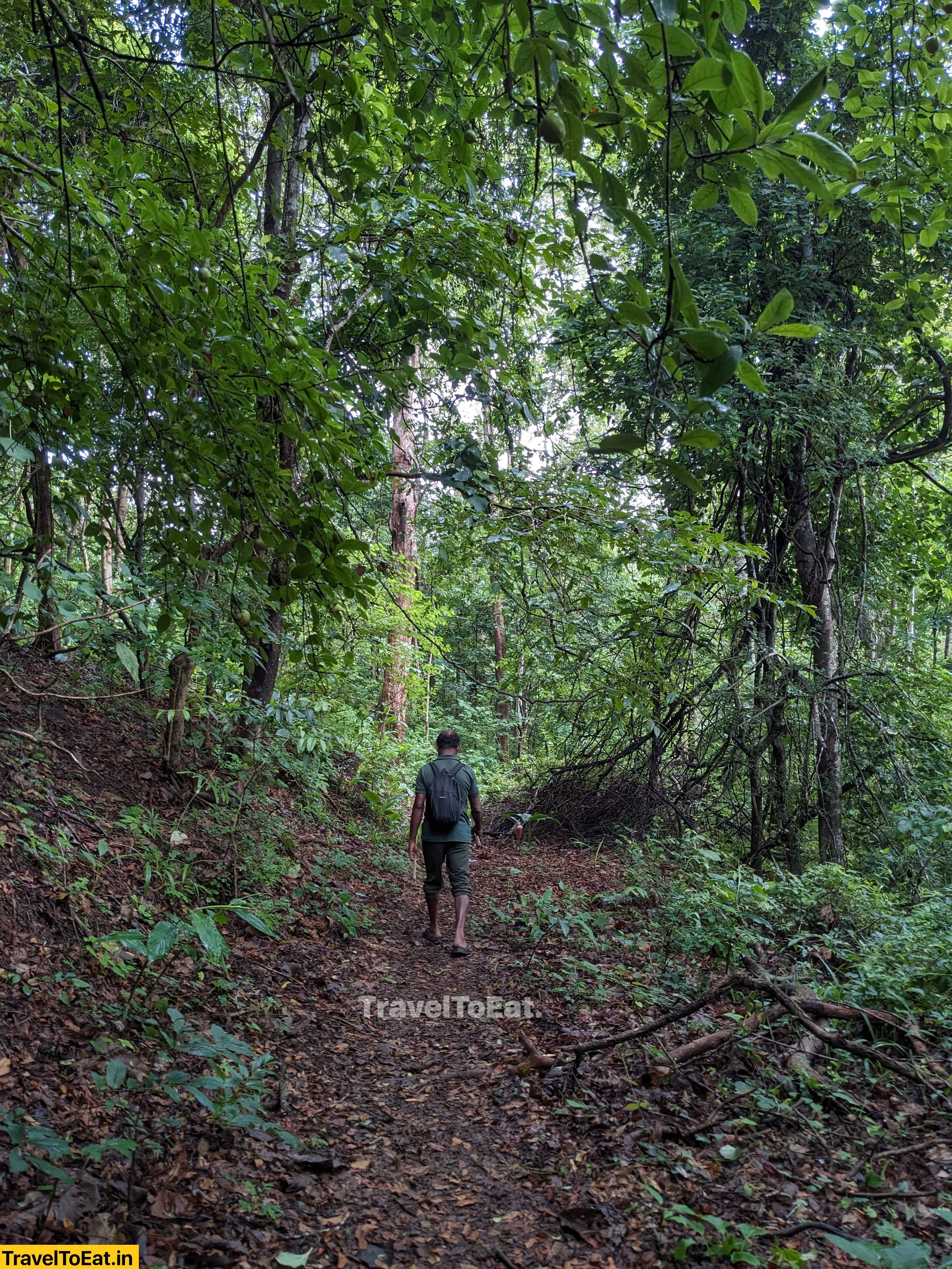Thrissur Peechi dam trek: Moodal mala - Image 1