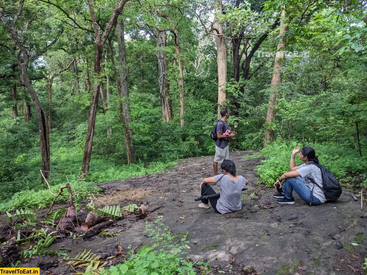 Thrissur Peechi dam trek: Moodal mala - Image 3