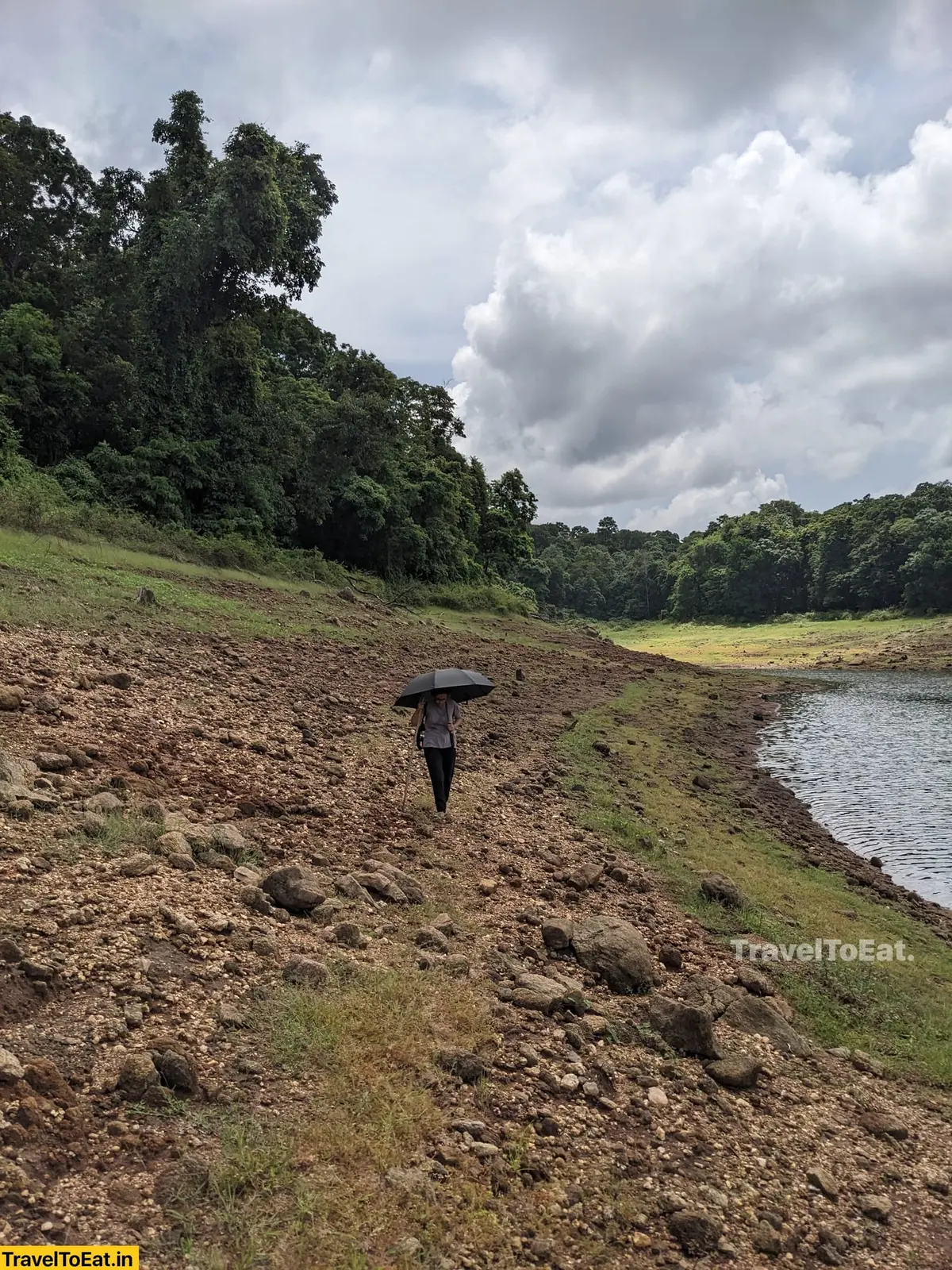 Thrissur Peechi dam trek: Moodal mala - Image 3