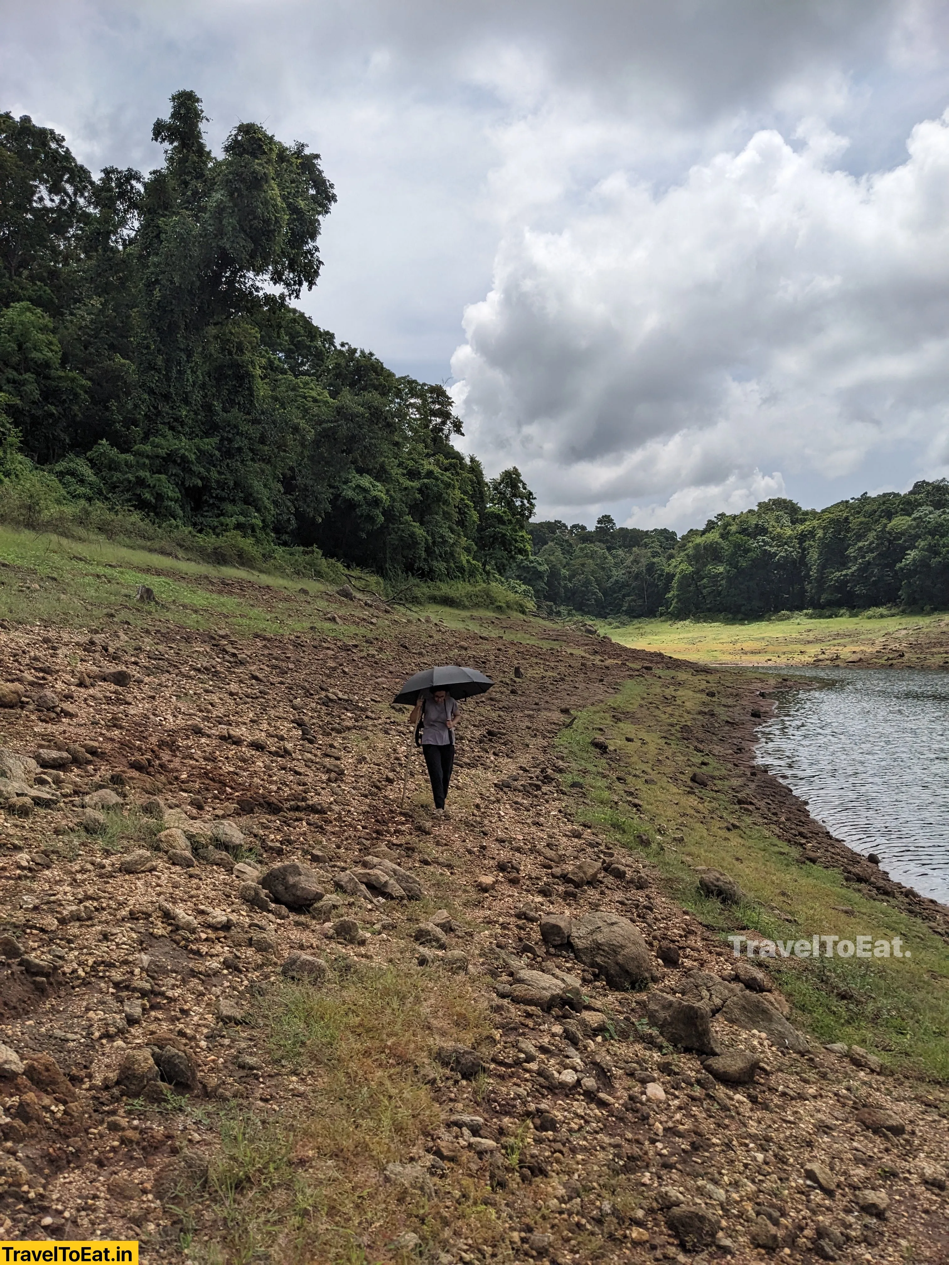 Thrissur Peechi dam trek: Moodal mala - Image 3
