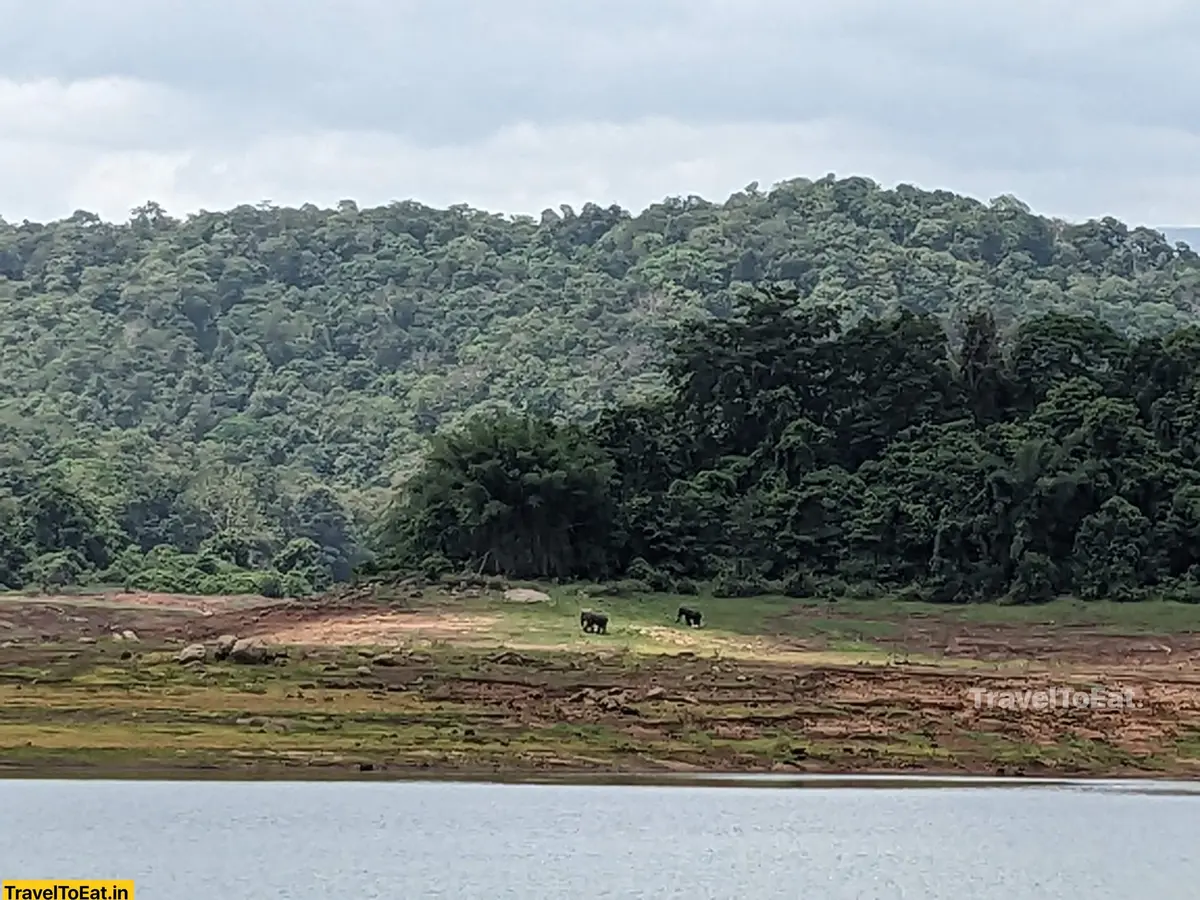 Thrissur Peechi dam trek: Moodal mala - Image 2