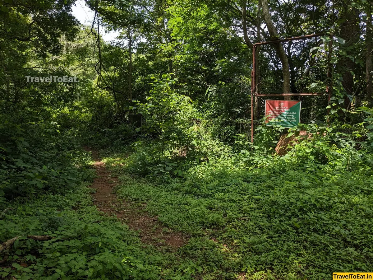 Thrissur Peechi dam trek: Moodal mala - Image 1