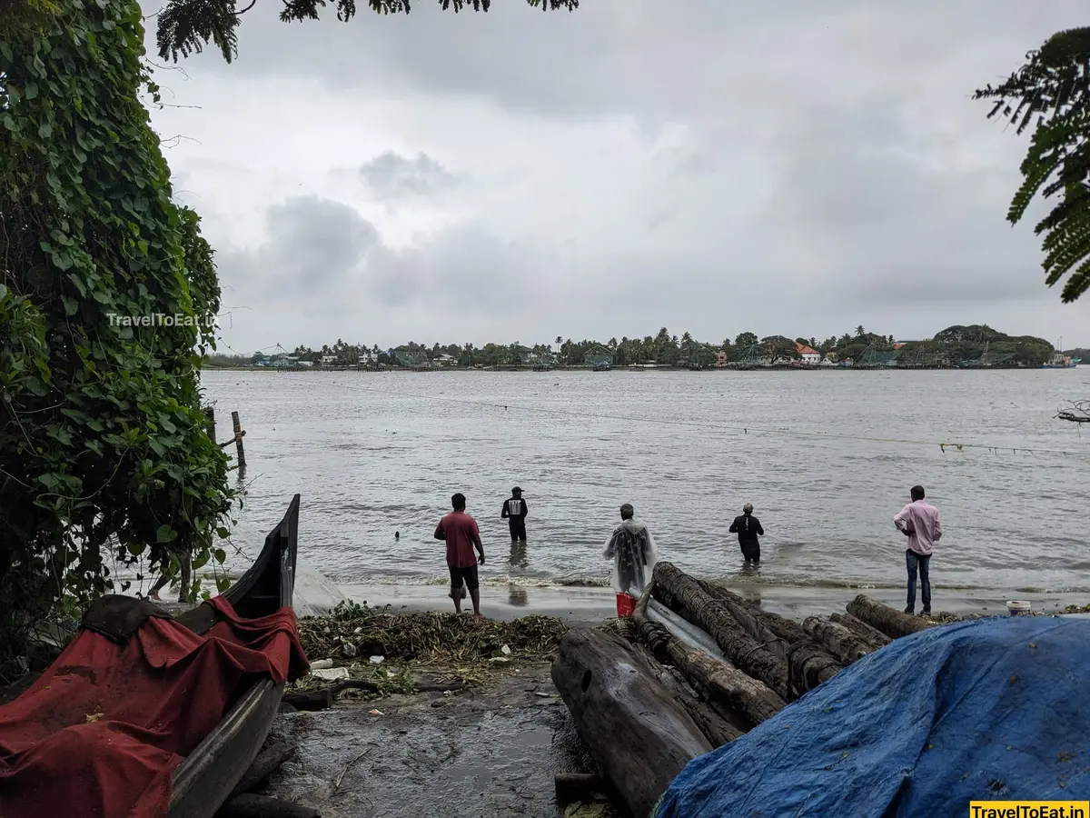 Kakkanad to Fort Kochi: Water/Rail Metro vs private transport - Image 1