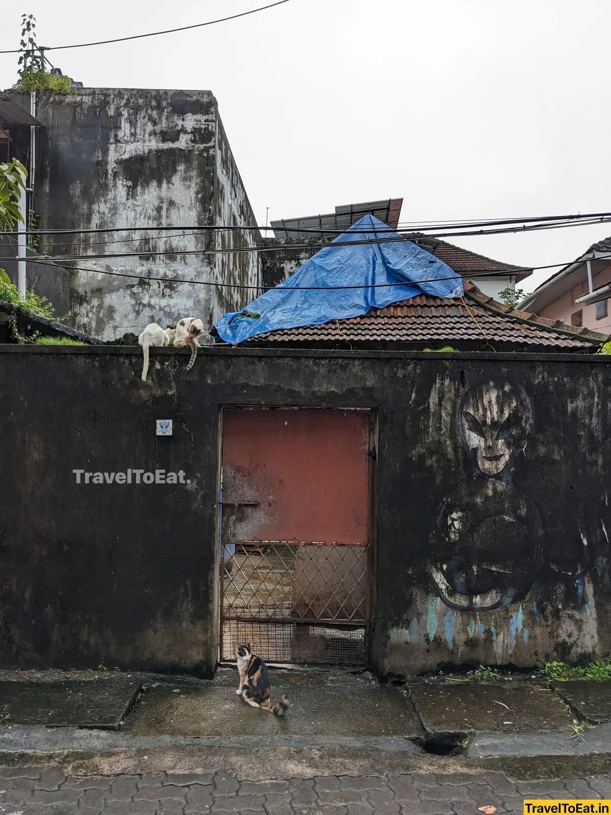 Kakkanad to Fort Kochi: Water/Rail Metro vs private transport - Image 1