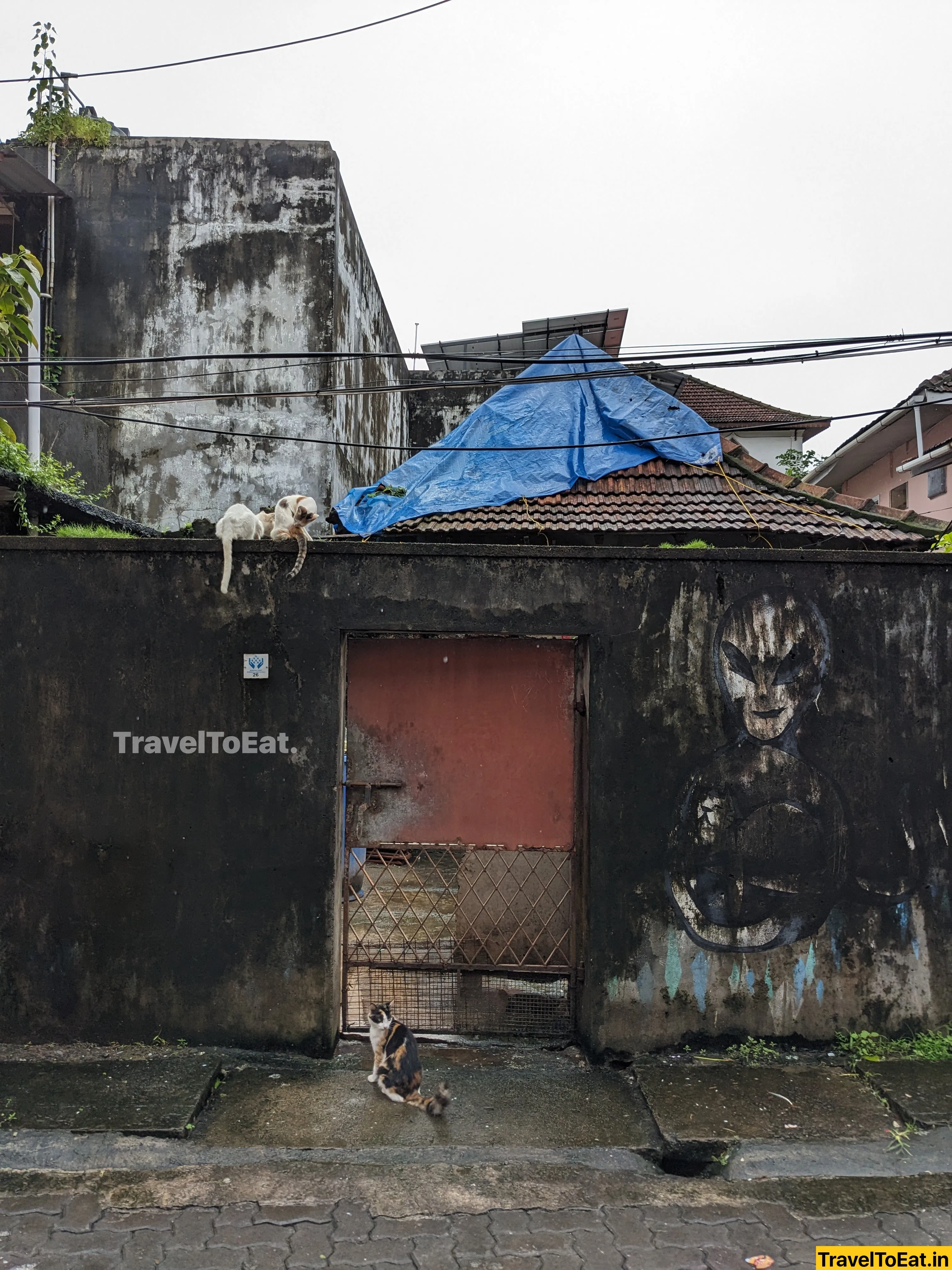 Kakkanad to Fort Kochi: Water/Rail Metro vs private transport - Image 1