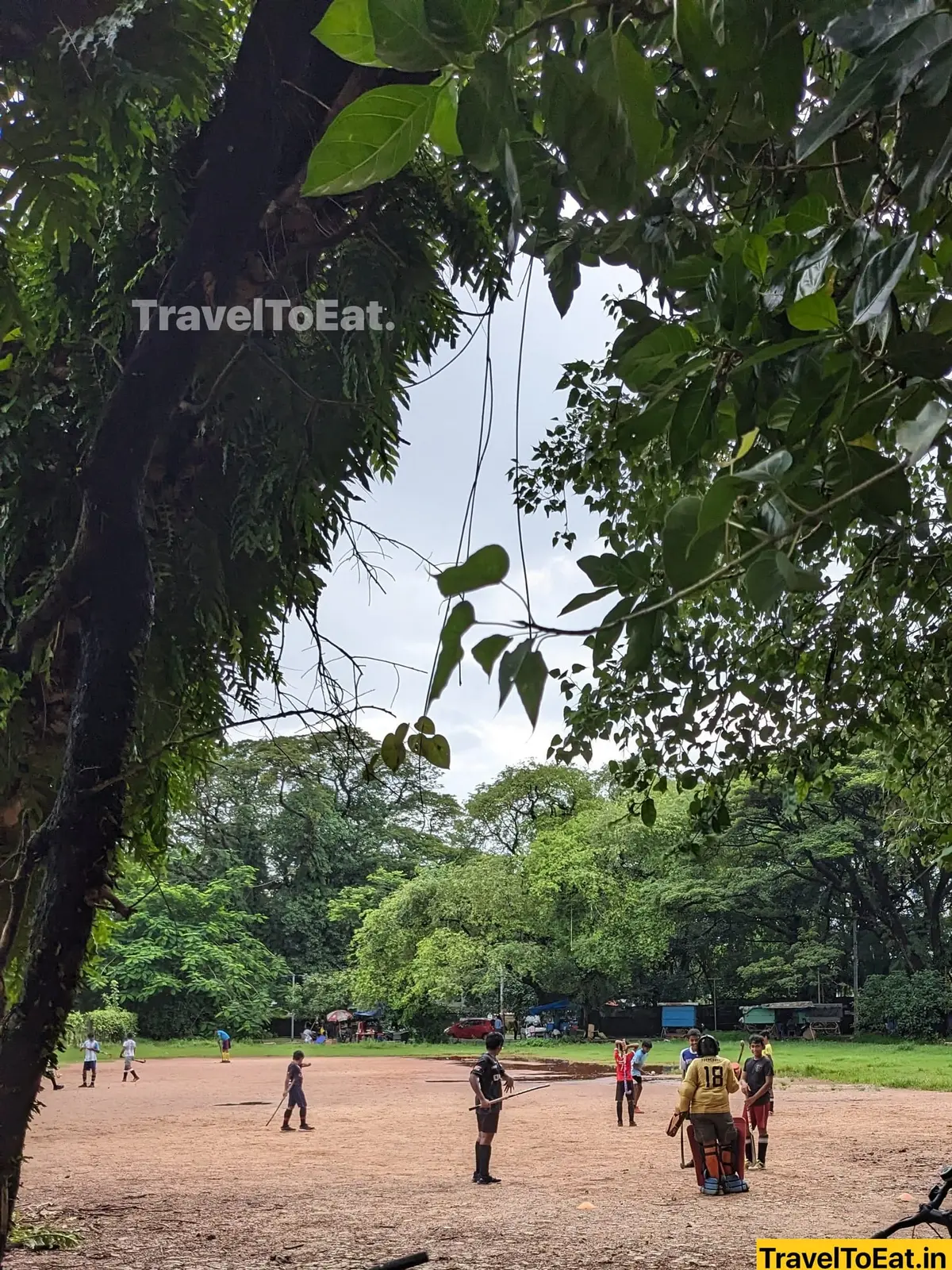 Kakkanad to Fort Kochi: Water/Rail Metro vs private transport - Image 3