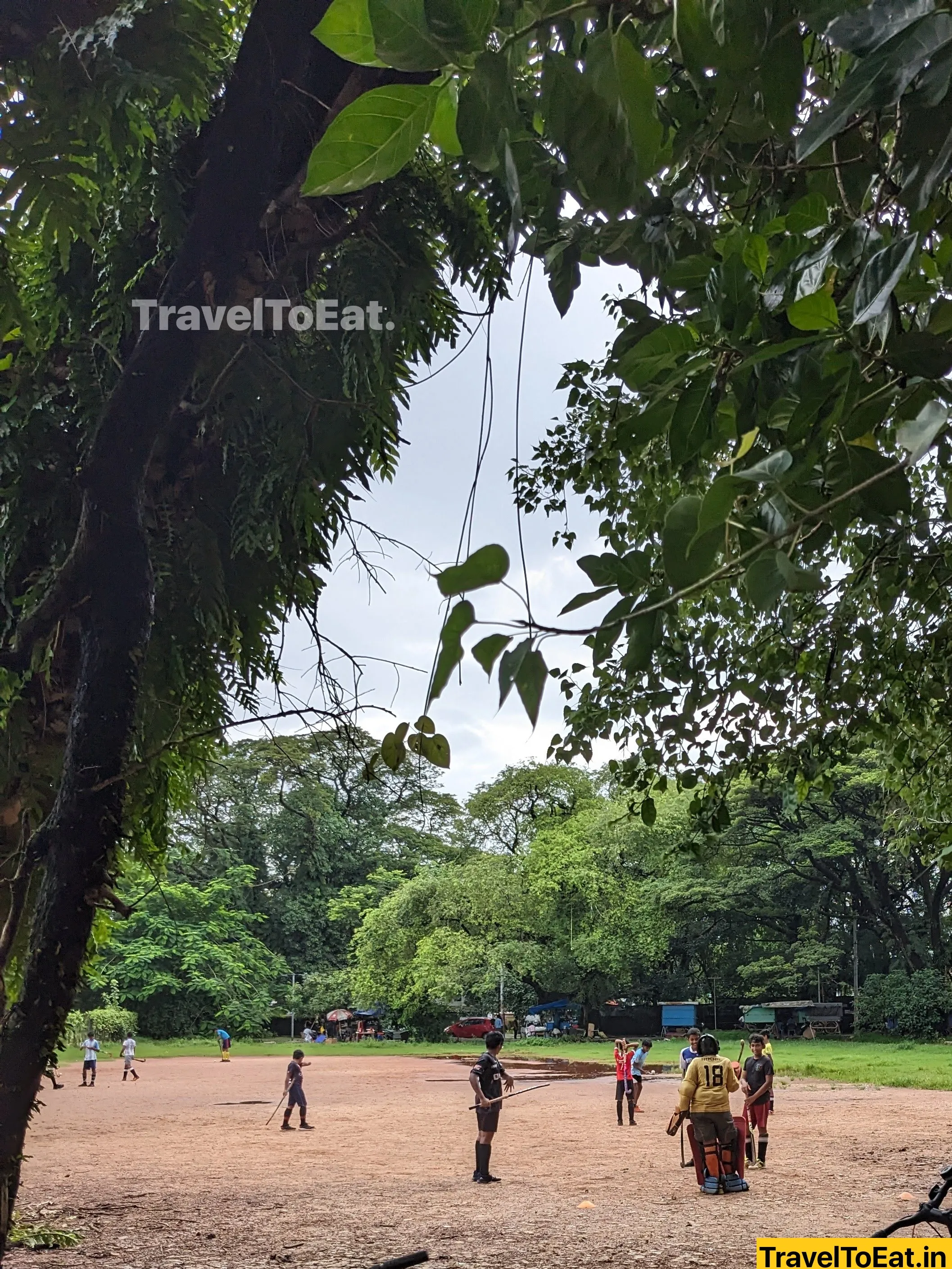 Kakkanad to Fort Kochi: Water/Rail Metro vs private transport - Image 3