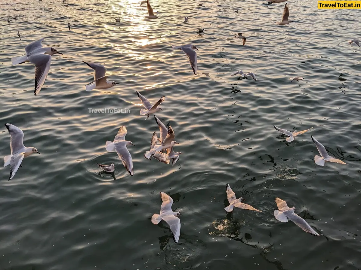 Dubai / Sharjah: One-week itinerary, visa, food spots and where to go - Image 1