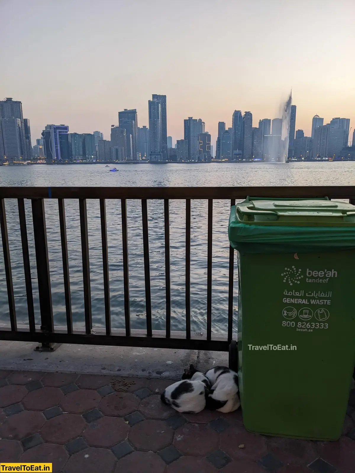 Dubai / Sharjah: One-week itinerary, visa, food spots and where to go - Image 5