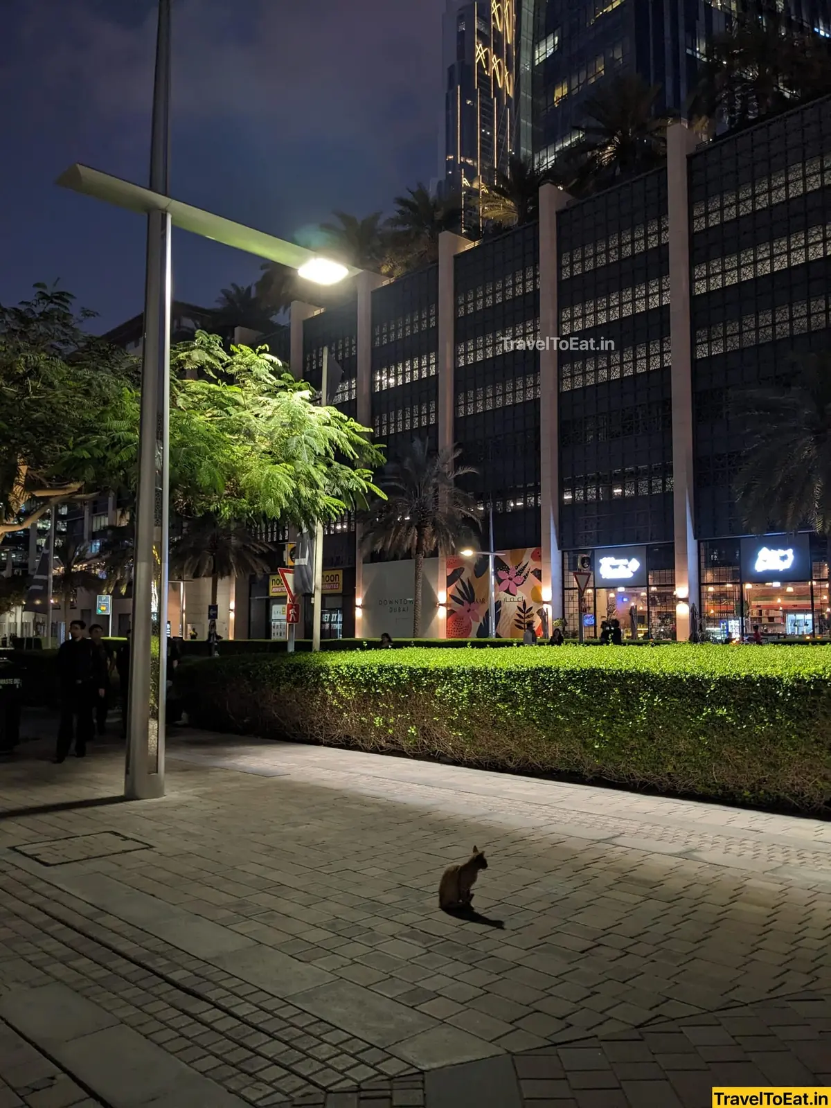 Dubai / Sharjah: One-week itinerary, visa, food spots and where to go - Image 3