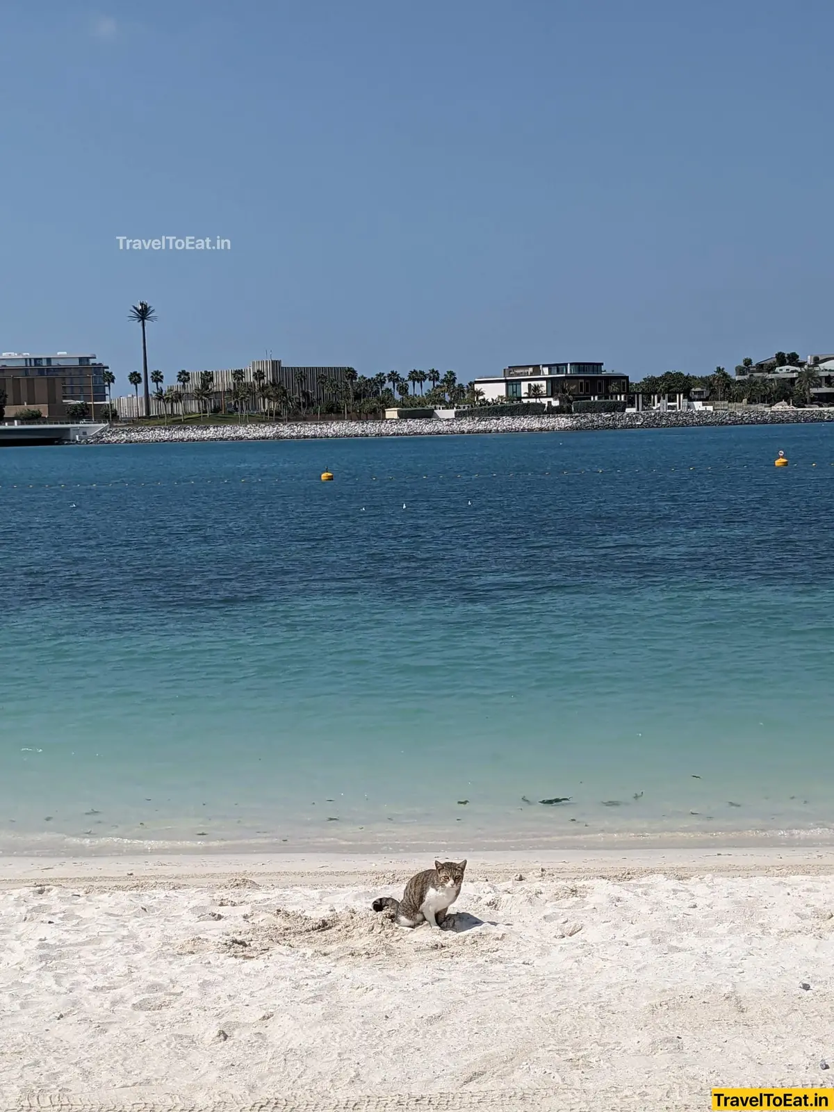 Dubai / Sharjah: One-week itinerary, visa, food spots and where to go - Image 1