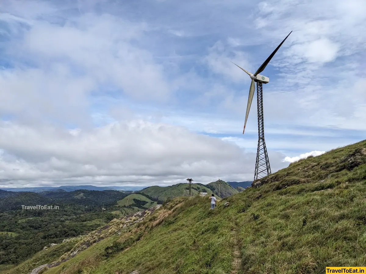 #DayTripsFromKochi Part 4: Windmills! - Image 1